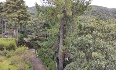 Aprovecha la oportunidad de tener una casa en el campo, a pocos minutos de Morelia ahora a un SUPER PRECIO!