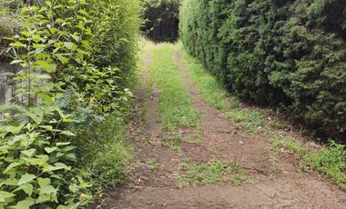 Aprovecha la oportunidad de tener una casa en el campo, a pocos minutos de Morelia ahora a un SUPER PRECIO!