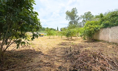 Terreno en Venta en Los Gavilanes, Tlajomulco de Zuñiga
