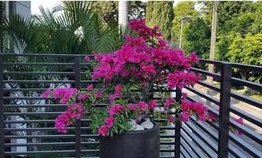 CASA EN VENTA EN FRACCIONAMIENTO LOMAS DE COCOYOC MORELOS