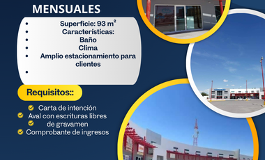 Renta Loc Com PLaza Bermudez