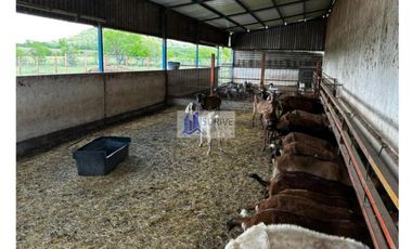 RANCHO VENTA MONTEMORELOS NUEVO LEON