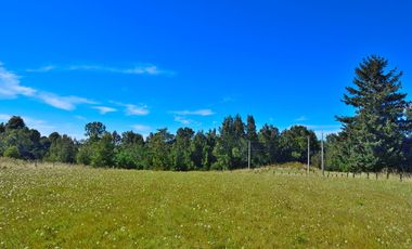 OFERTA NOVIEMBRE!!! PARCELA DE 6000 M2 REBAJADA A 29 MILLONES SOLO CONTADO CON LUZ, AGUA Y FIBRA ÓPTICA YA INSTALADA.