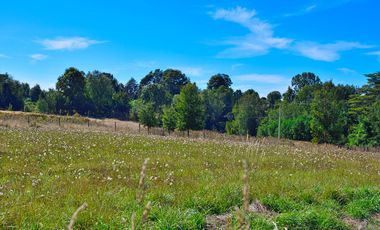 OFERTA NOVIEMBRE!!! PARCELA DE 6000 M2 REBAJADA A 29 MILLONES SOLO CONTADO CON LUZ, AGUA Y FIBRA ÓPTICA YA INSTALADA.
