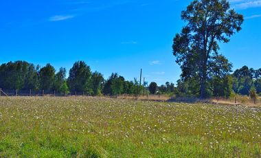 OFERTA NOVIEMBRE!!! PARCELA DE 6000 M2 REBAJADA A 29 MILLONES SOLO CONTADO CON LUZ, AGUA Y FIBRA ÓPTICA YA INSTALADA.