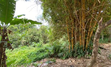 Rumah Villa Mewah 1371 m2 Pinggir Jalan Bojong Purwakarta Dijual Murah