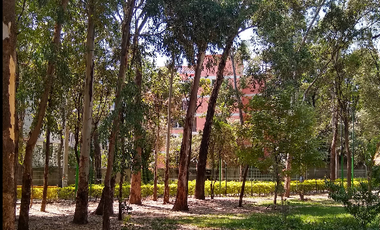 VENTA DEPARTAMENTO FRACCIONAMIENTO BOSQUE RESIDENCIAL DEL SUR