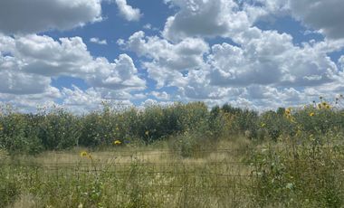 Terreno en Venta en Guadalupe, en La Zacatecana