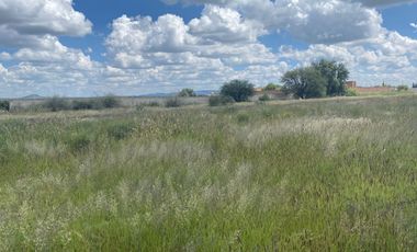 Terreno en Venta en Guadalupe, en La Zacatecana