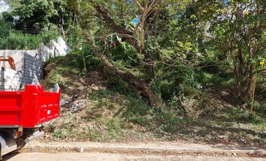 LOT FOR SALE: PREMIER COMMUNITY @ SUN VALLEY EAST ESTATES ANTIPOLO