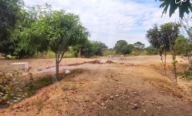 ¡VIVE ENTRE VIÑEDOS! TERRENO DE 8,659 m² CON EXPLANADA LISTA EN ICA 🍇