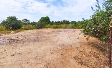 ¡VIVE ENTRE VIÑEDOS! TERRENO DE 8,659 m² CON EXPLANADA LISTA EN ICA 🍇