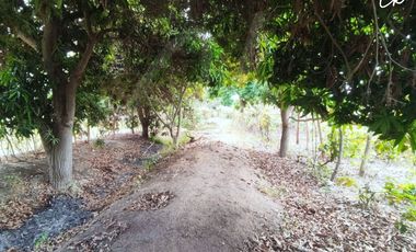 ¡VIVE ENTRE VIÑEDOS! TERRENO DE 8,659 m² CON EXPLANADA LISTA EN ICA 🍇