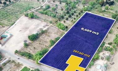 ¡VIVE ENTRE VIÑEDOS! TERRENO DE 8,659 m² CON EXPLANADA LISTA EN ICA 🍇