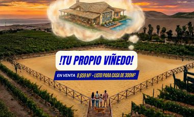 ¡VIVE ENTRE VIÑEDOS! TERRENO DE 8,659 m² CON EXPLANADA LISTA EN ICA 🍇