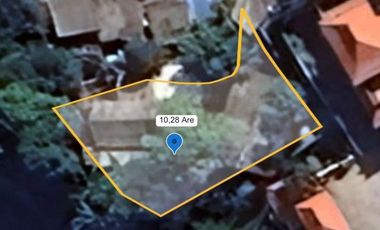 Dijual Tanah 10,28 Are Sekar Tunjung Denpasar Timur Bali Dekat Gatsu Sanur Renon