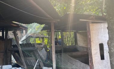 Dijual Tanah 10,28 Are Sekar Tunjung Denpasar Timur Bali Dekat Gatsu Sanur Renon