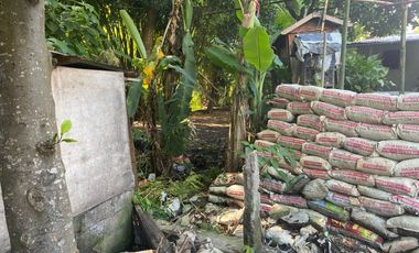 Dijual Tanah 10,28 Are Sekar Tunjung Denpasar Timur Bali Dekat Gatsu Sanur Renon