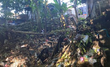 Dijual Tanah 10,28 Are Sekar Tunjung Denpasar Timur Bali Dekat Gatsu Sanur Renon