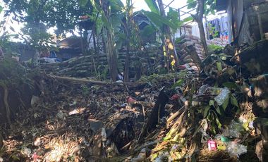 Dijual Tanah 10,28 Are Sekar Tunjung Denpasar Timur Bali Dekat Gatsu Sanur Renon