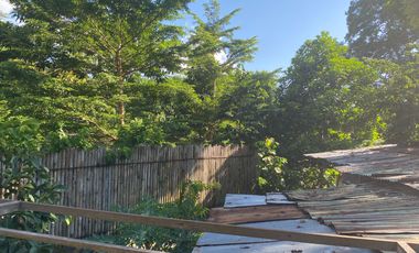 Dijual Tanah 10,28 Are Sekar Tunjung Denpasar Timur Bali Dekat Gatsu Sanur Renon