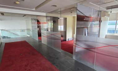 Cochrane, a pasos de plaza Sotomayor