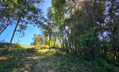 Parcela en Venta – Loteo El Remanso, Arenal – Valdivia