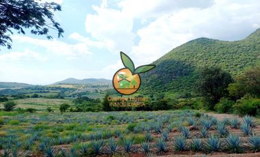 TERRENO CON VARIOS USOS EN POTRERO LAS LOMAS EN VILLA CORONA, JALISCO