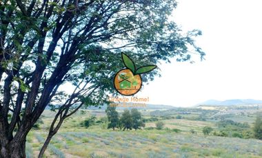 TERRENO CON VARIOS USOS EN POTRERO LAS LOMAS EN VILLA CORONA, JALISCO