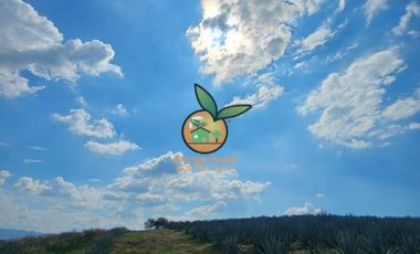 TERRENO CON VARIOS USOS EN POTRERO LAS LOMAS EN VILLA CORONA, JALISCO