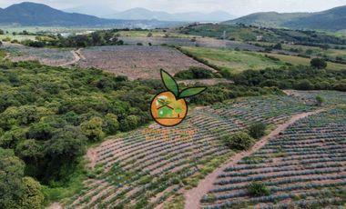 TERRENO CON VARIOS USOS EN POTRERO LAS LOMAS EN VILLA CORONA, JALISCO