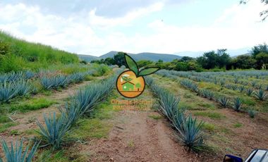 TERRENO CON VARIOS USOS EN POTRERO LAS LOMAS EN VILLA CORONA, JALISCO