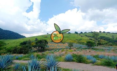 TERRENO CON VARIOS USOS EN POTRERO LAS LOMAS EN VILLA CORONA, JALISCO
