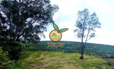 TERRENO CON VARIOS USOS EN POTRERO LAS LOMAS EN VILLA CORONA, JALISCO