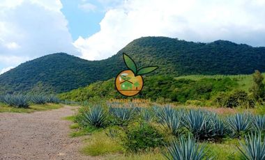 TERRENO CON VARIOS USOS EN POTRERO LAS LOMAS EN VILLA CORONA, JALISCO