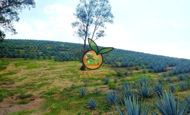 TERRENO CON VARIOS USOS EN POTRERO LAS LOMAS EN VILLA CORONA, JALISCO