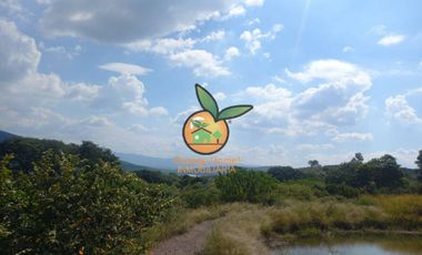 TERRENO CON VARIOS USOS EN POTRERO LAS LOMAS EN VILLA CORONA, JALISCO