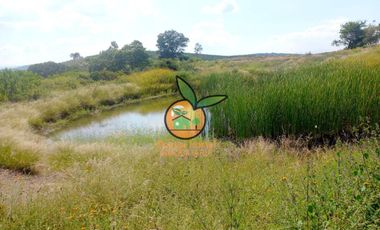 TERRENO CON VARIOS USOS EN POTRERO LAS LOMAS EN VILLA CORONA, JALISCO