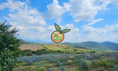 TERRENO CON VARIOS USOS EN POTRERO LAS LOMAS EN VILLA CORONA, JALISCO
