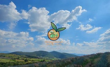 TERRENO CON VARIOS USOS EN POTRERO LAS LOMAS EN VILLA CORONA, JALISCO