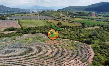 TERRENO CON VARIOS USOS EN POTRERO LAS LOMAS EN VILLA CORONA, JALISCO