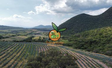 TERRENO CON VARIOS USOS EN POTRERO LAS LOMAS EN VILLA CORONA, JALISCO