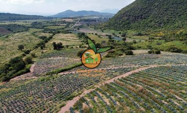 TERRENO CON VARIOS USOS EN POTRERO LAS LOMAS EN VILLA CORONA, JALISCO