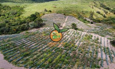 TERRENO CON VARIOS USOS EN POTRERO LAS LOMAS EN VILLA CORONA, JALISCO