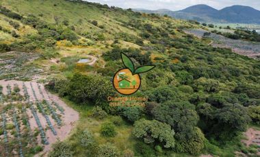 TERRENO CON VARIOS USOS EN POTRERO LAS LOMAS EN VILLA CORONA, JALISCO