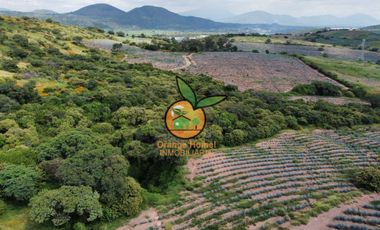 TERRENO CON VARIOS USOS EN POTRERO LAS LOMAS EN VILLA CORONA, JALISCO