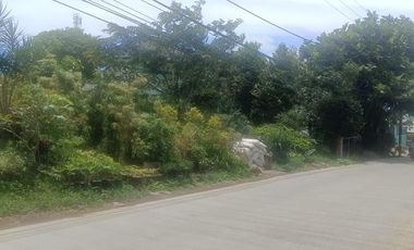 Dijual Kebun Bunga Strategis  Pinggir Jalan Utama Cigugur, Parongpong, Bandung