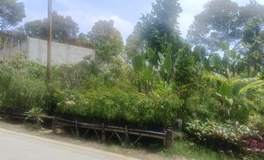 Dijual Kebun Bunga Strategis  Pinggir Jalan Utama Cigugur, Parongpong, Bandung
