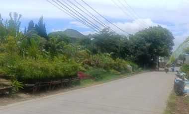Dijual Kebun Bunga Strategis  Pinggir Jalan Utama Cigugur, Parongpong, Bandung
