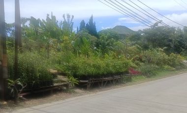 Dijual Kebun Bunga Strategis  Pinggir Jalan Utama Cigugur, Parongpong, Bandung